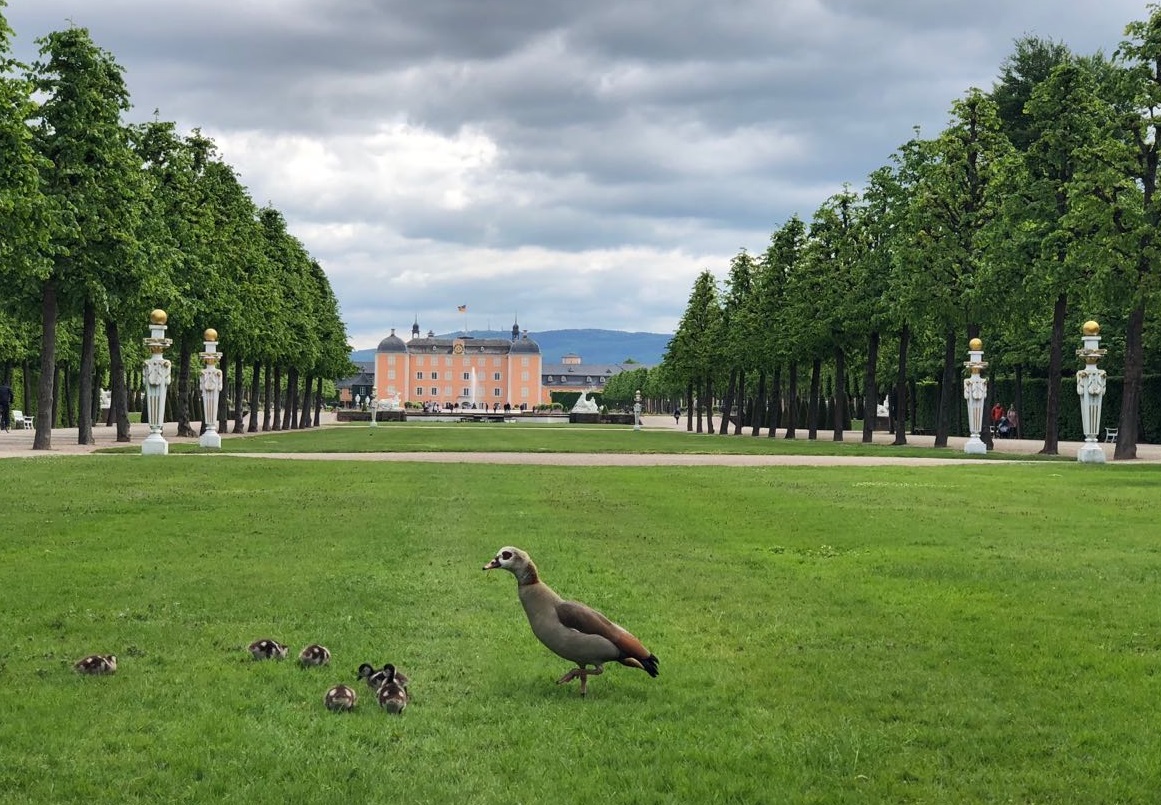 Schloss und Schlossgarten Schwetzingen施韦青根宫和宫殿花园